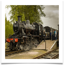 _DSC1905 - Kevin Shade